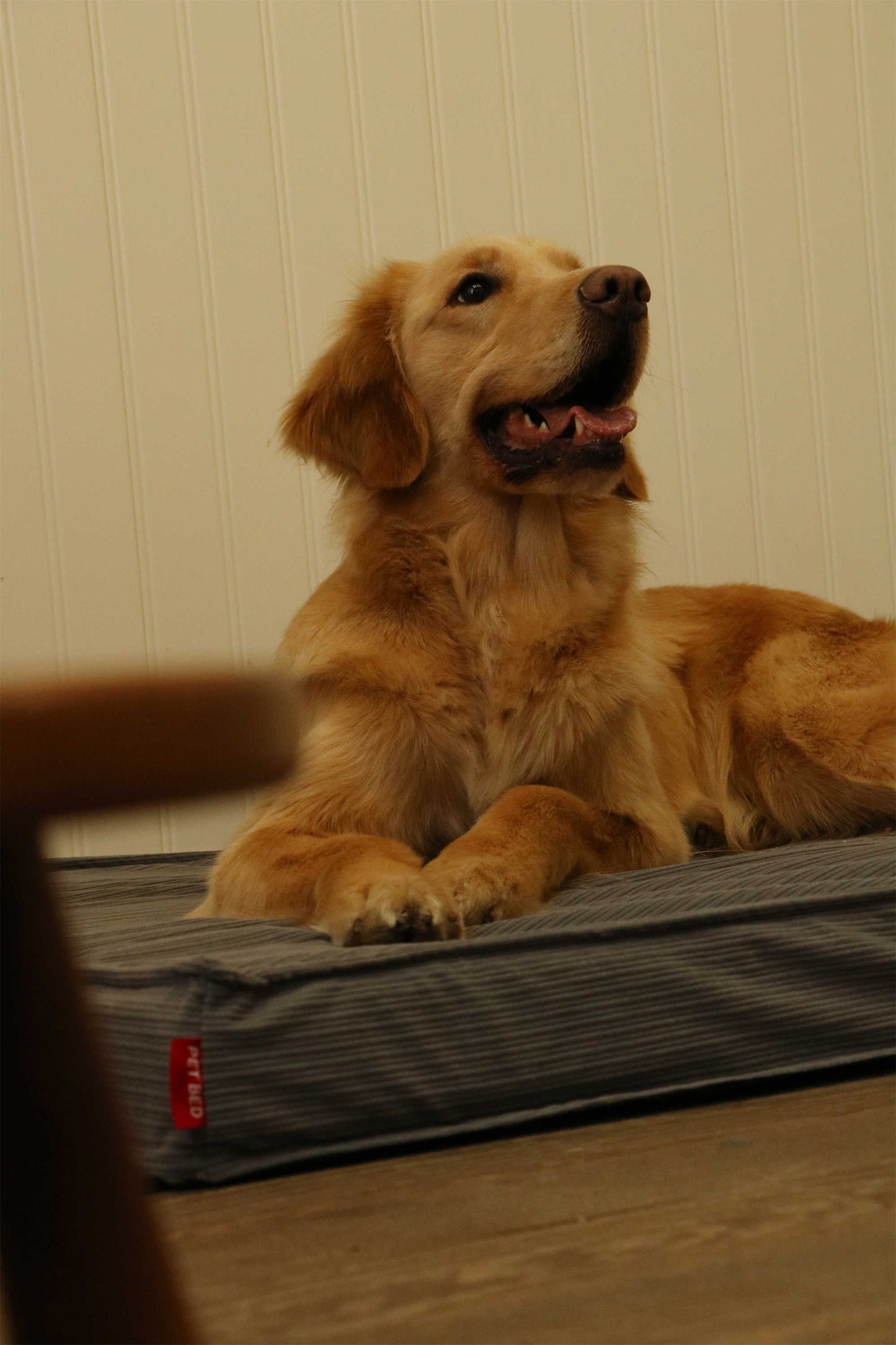 CORDUROY FLAT PET MAT