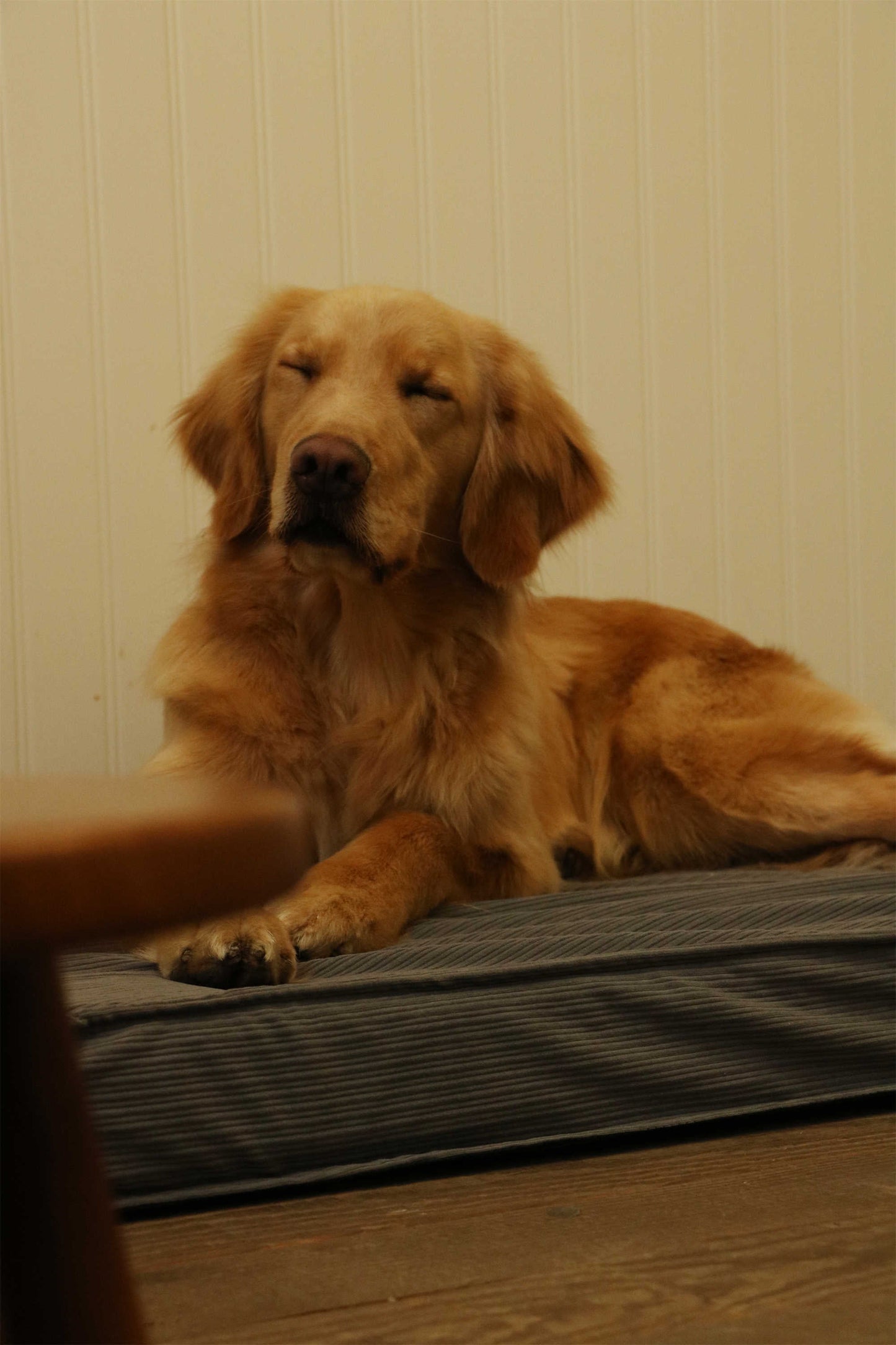 CORDUROY FLAT PET MAT