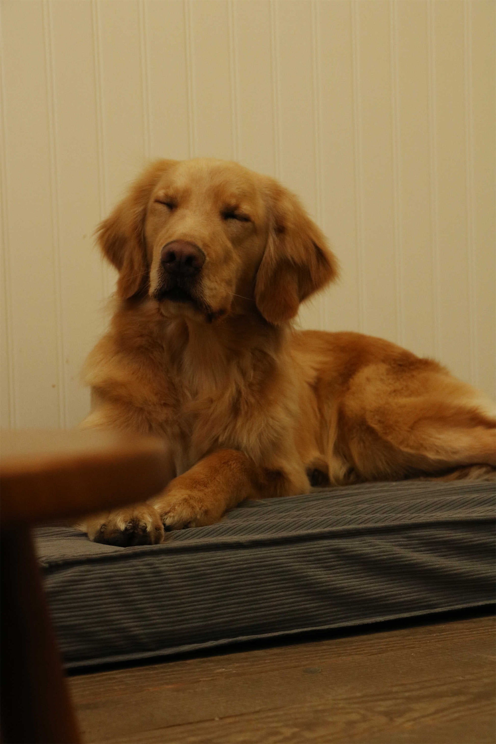 CORDUROY FLAT PET MAT