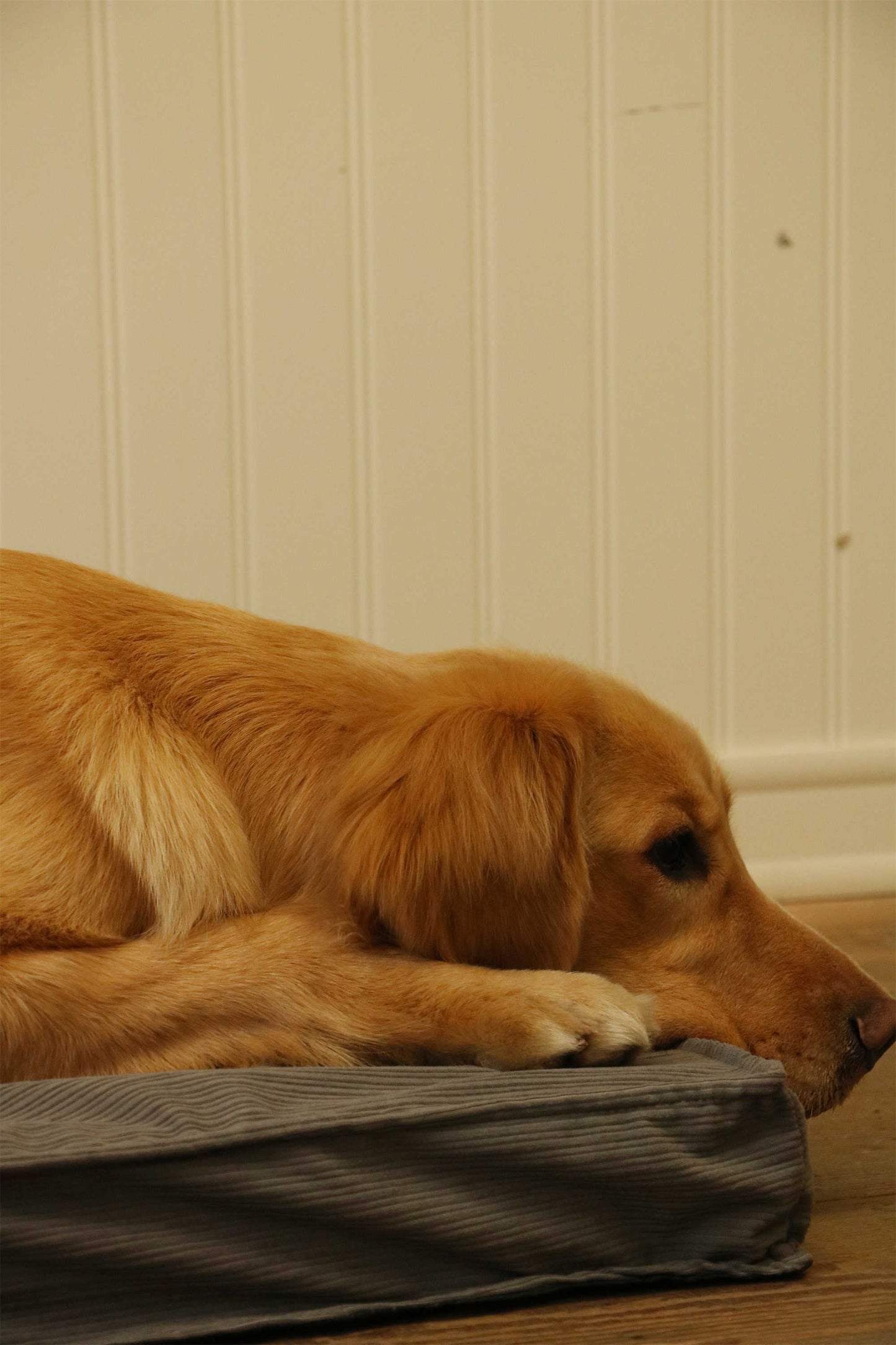 CORDUROY FLAT PET MAT