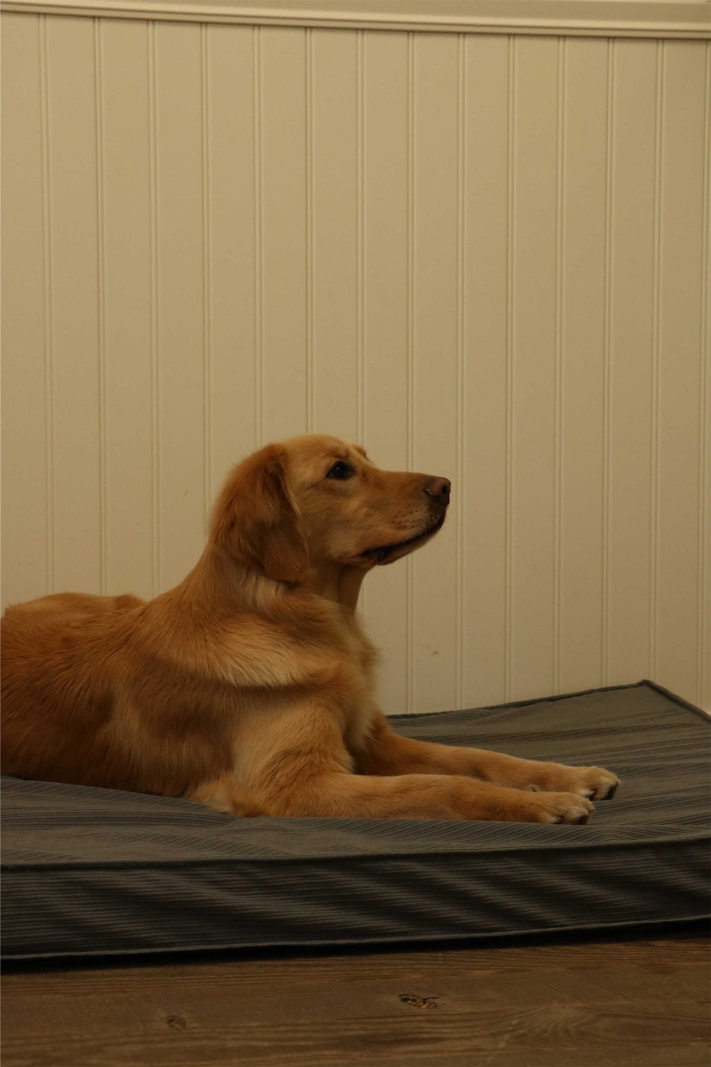 CORDUROY FLAT PET MAT