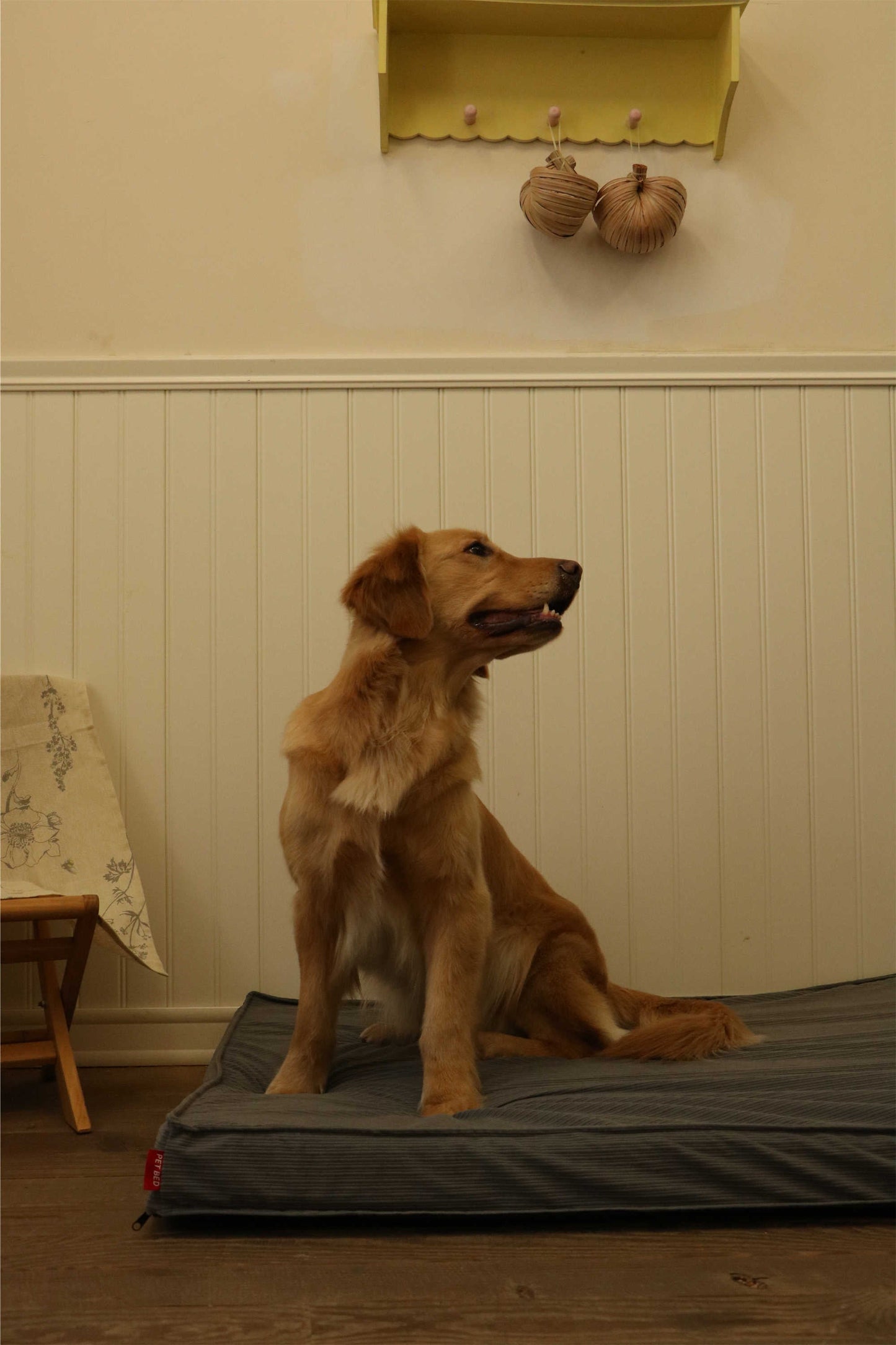 CORDUROY FLAT PET MAT