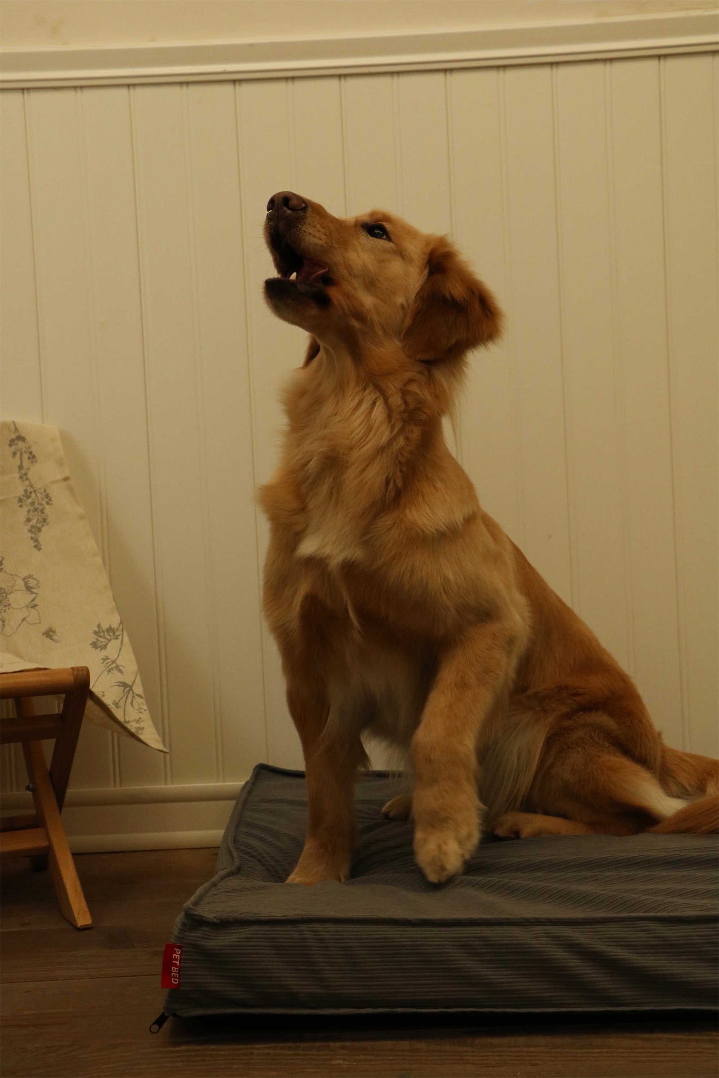 CORDUROY FLAT PET MAT