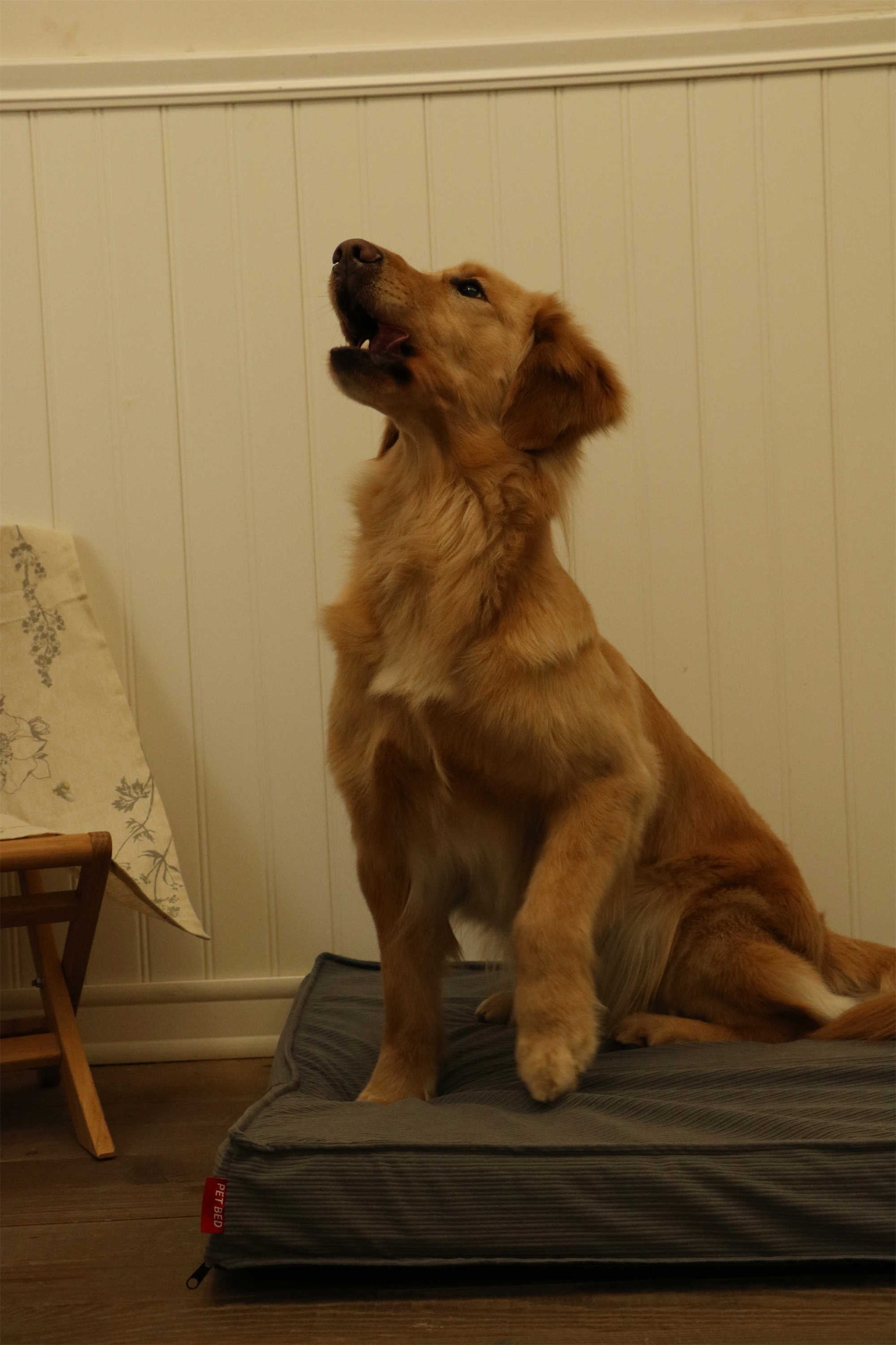 CORDUROY FLAT PET MAT