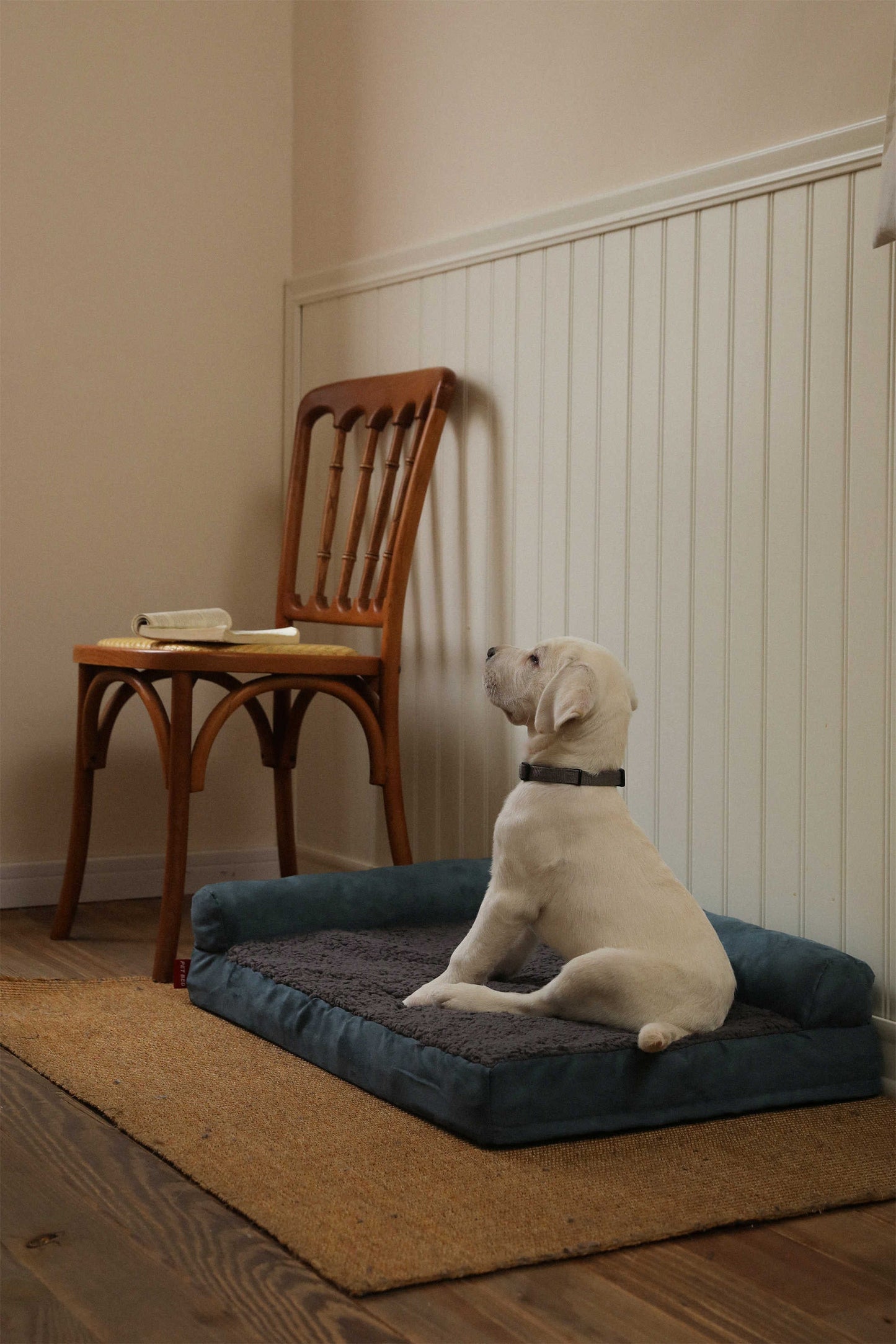 DOUBLE PILLOW DUTCH VELVET COTTON FLANNEL PET SOFA