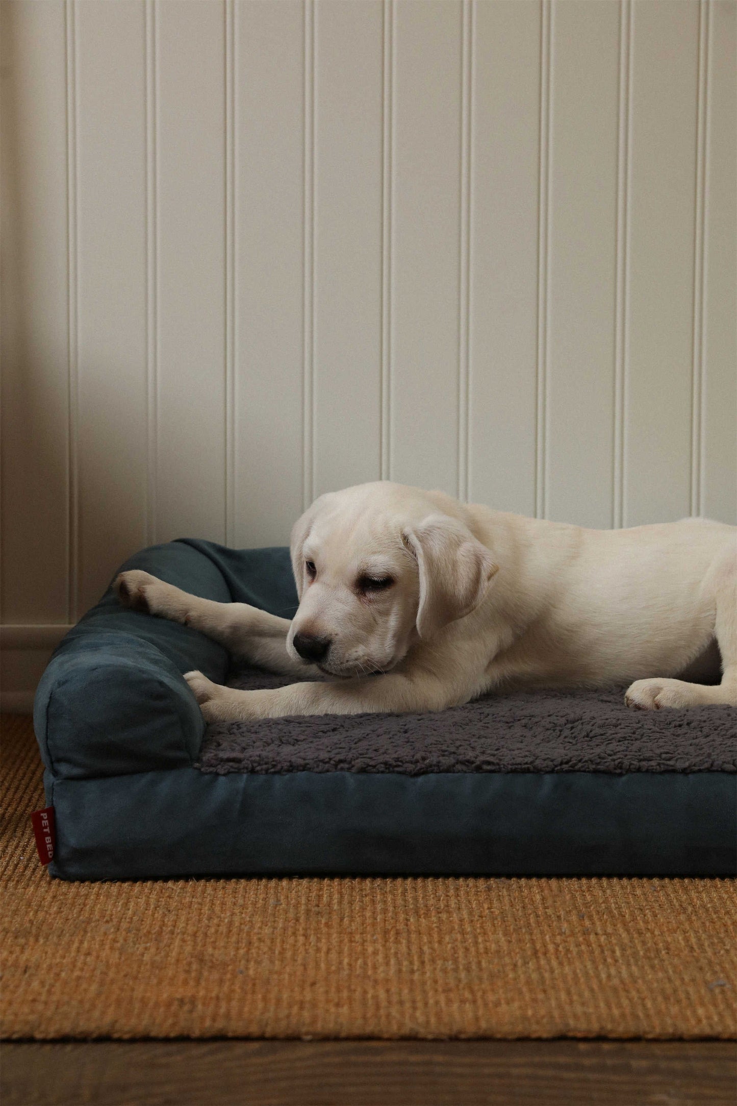 DOUBLE PILLOW DUTCH VELVET COTTON FLANNEL PET SOFA