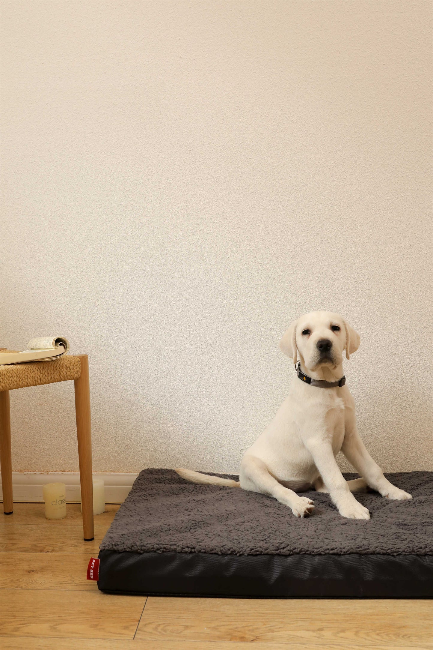 OXFORD CLOTH COTTON FLANNEL FLAT PET BED