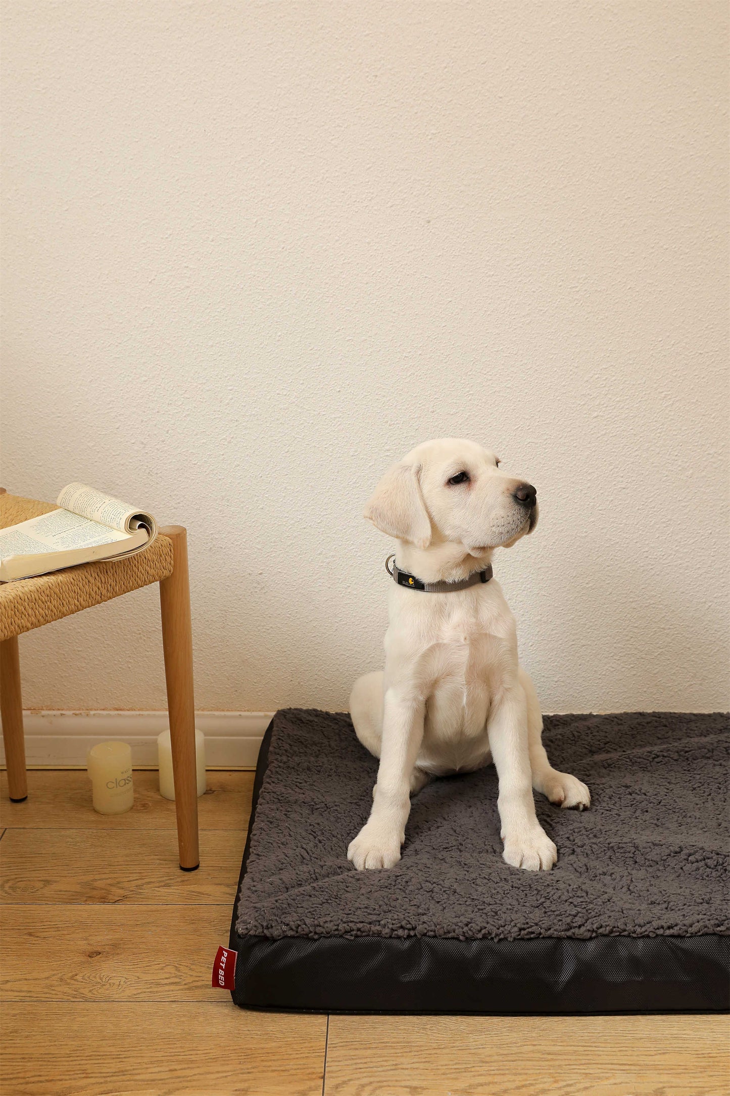 OXFORD CLOTH COTTON FLANNEL FLAT PET BED