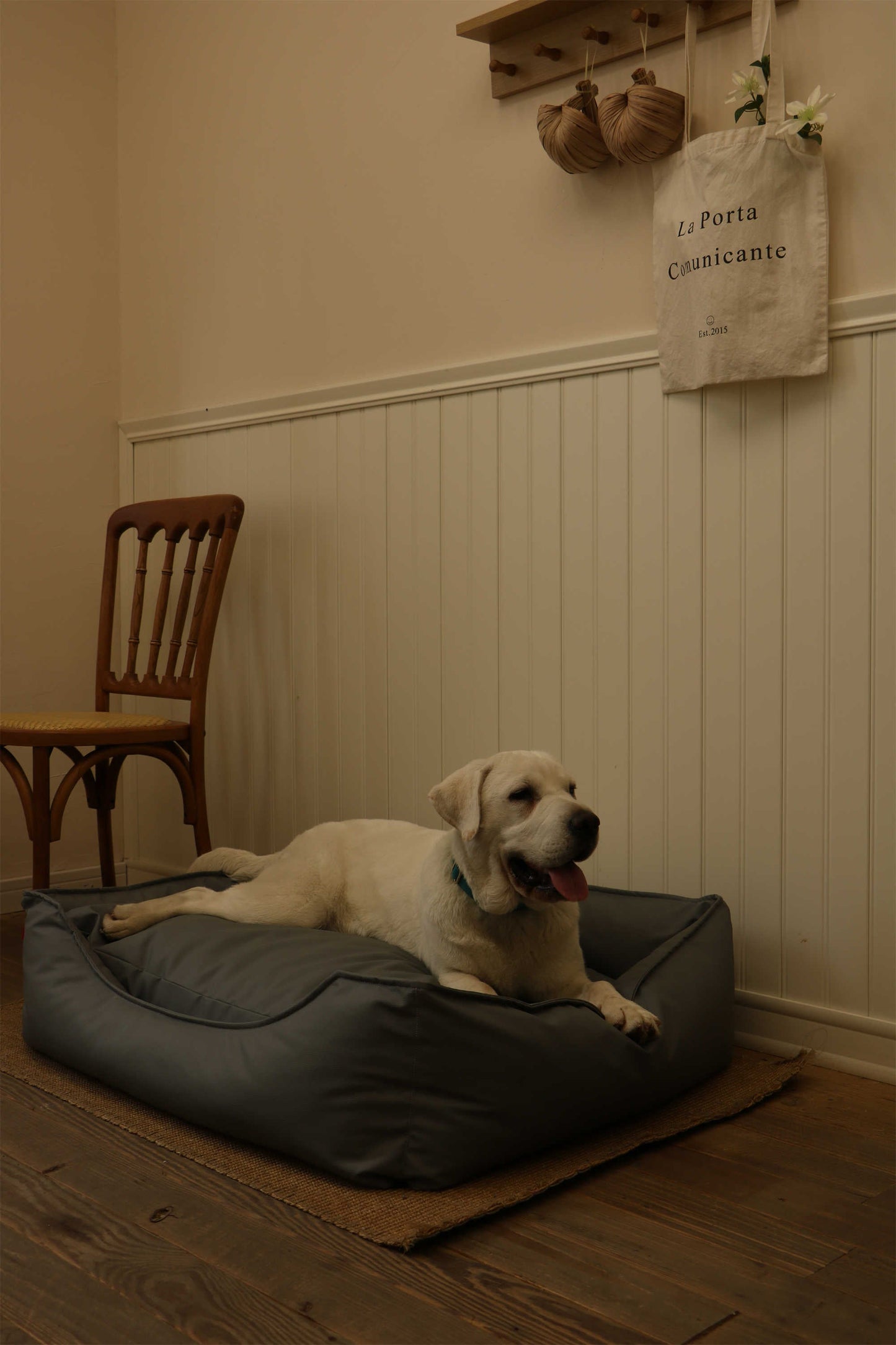 TECH FABRIC FLAT PET BED(DARK GRAY)