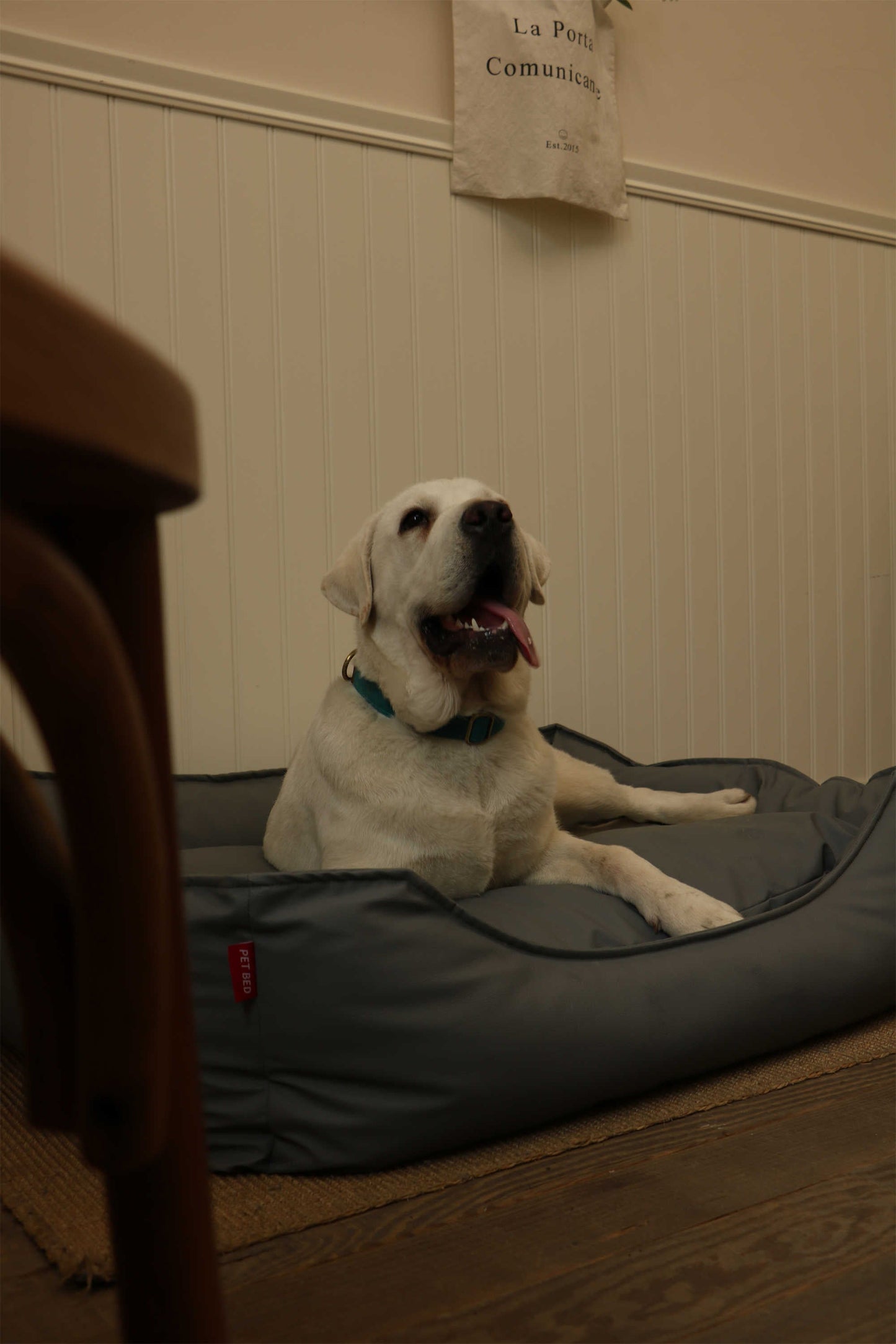 TECH FABRIC FLAT PET BED(DARK GRAY)