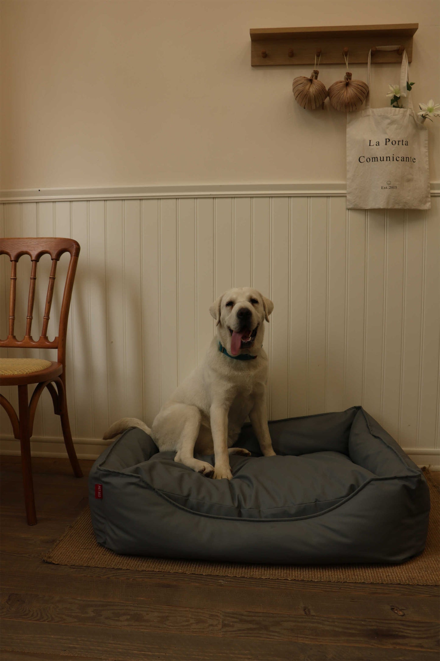 TECH FABRIC FLAT PET BED(DARK GRAY)