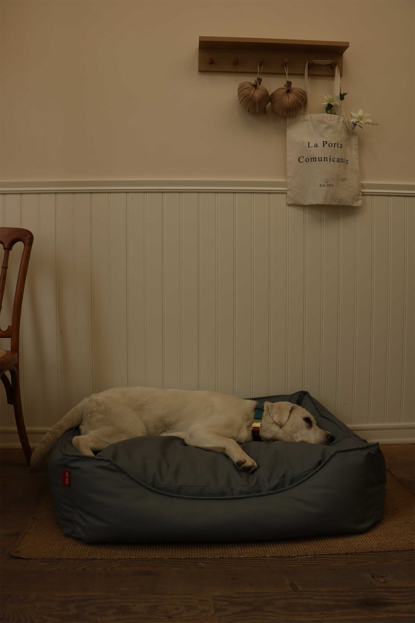 TECH FABRIC FLAT PET BED(DARK GRAY)
