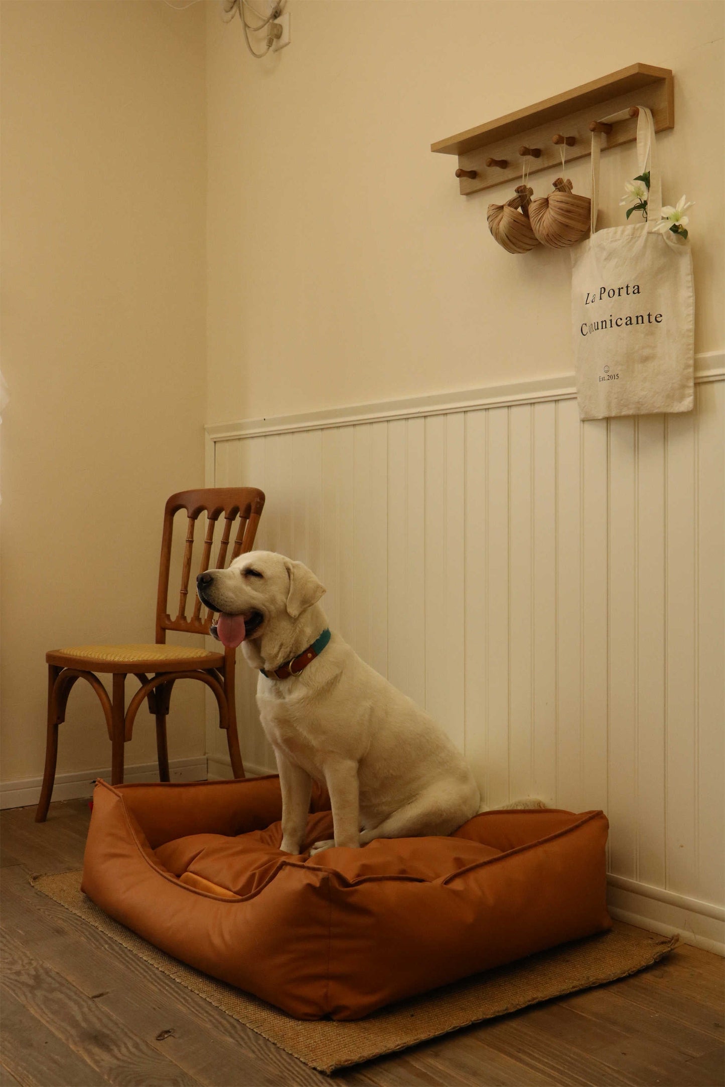 TECH FABRIC FLAT PET BED(ORANGE)