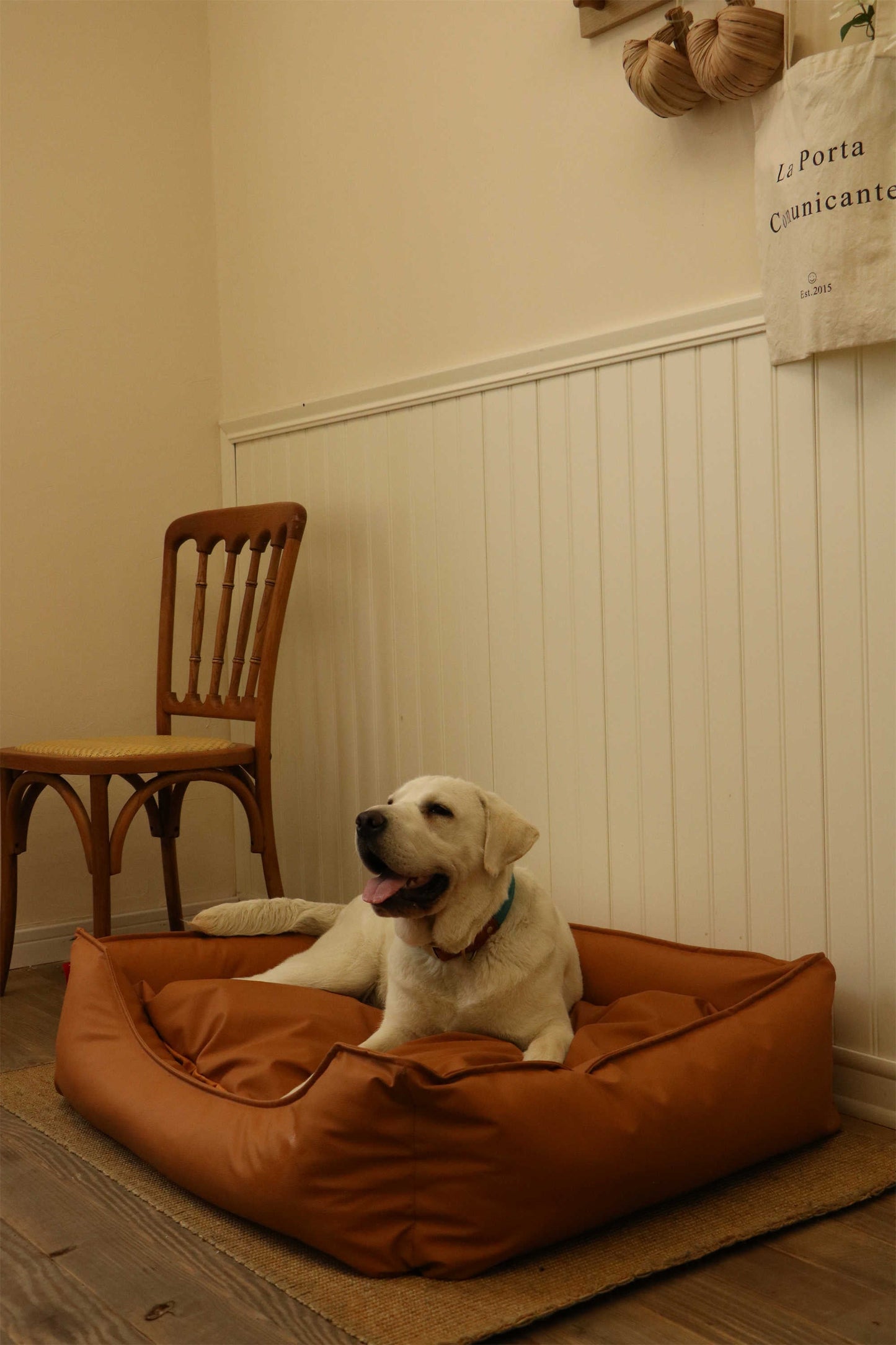 TECH FABRIC FLAT PET BED(ORANGE)