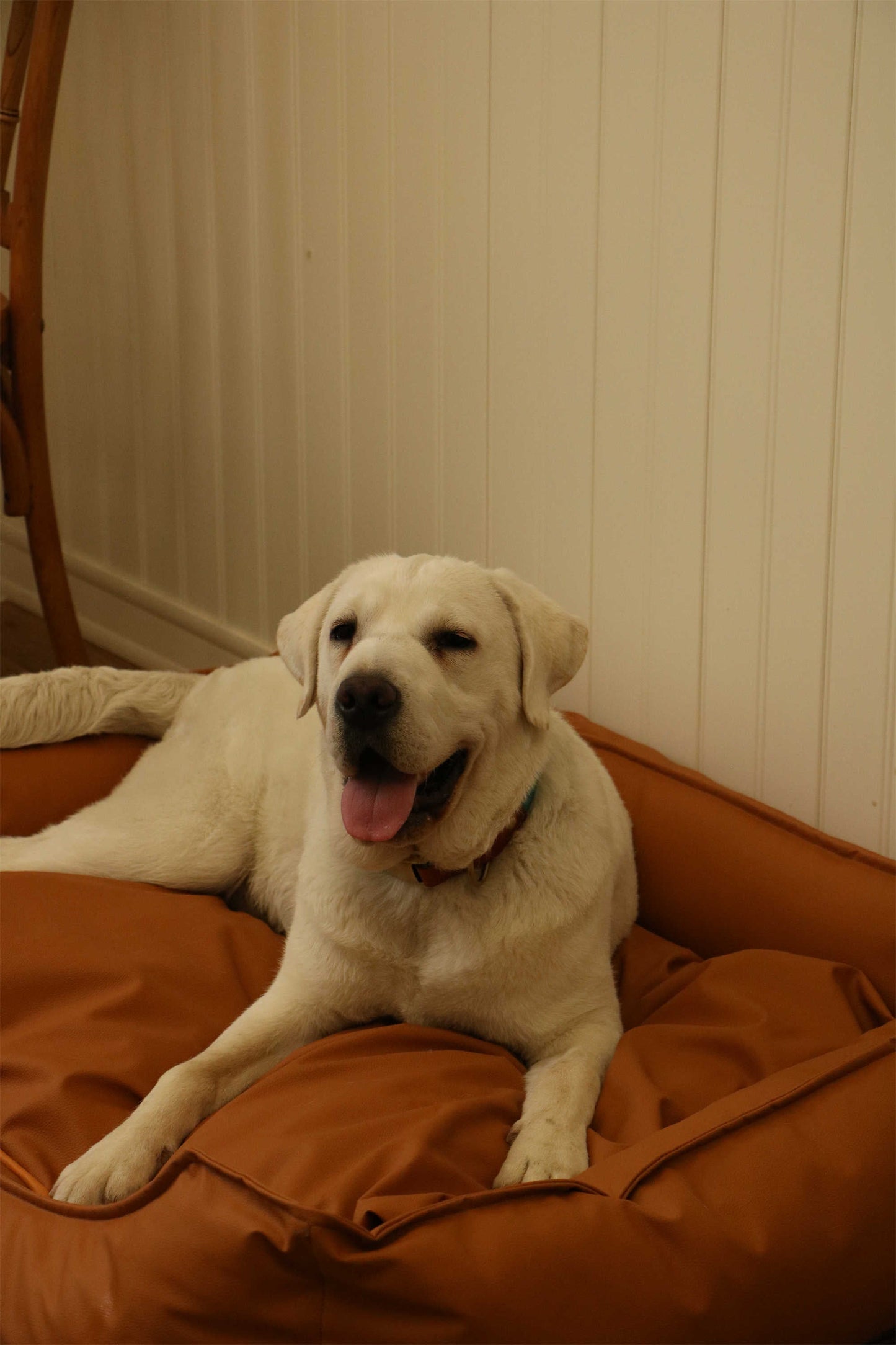 TECH FABRIC FLAT PET BED(ORANGE)
