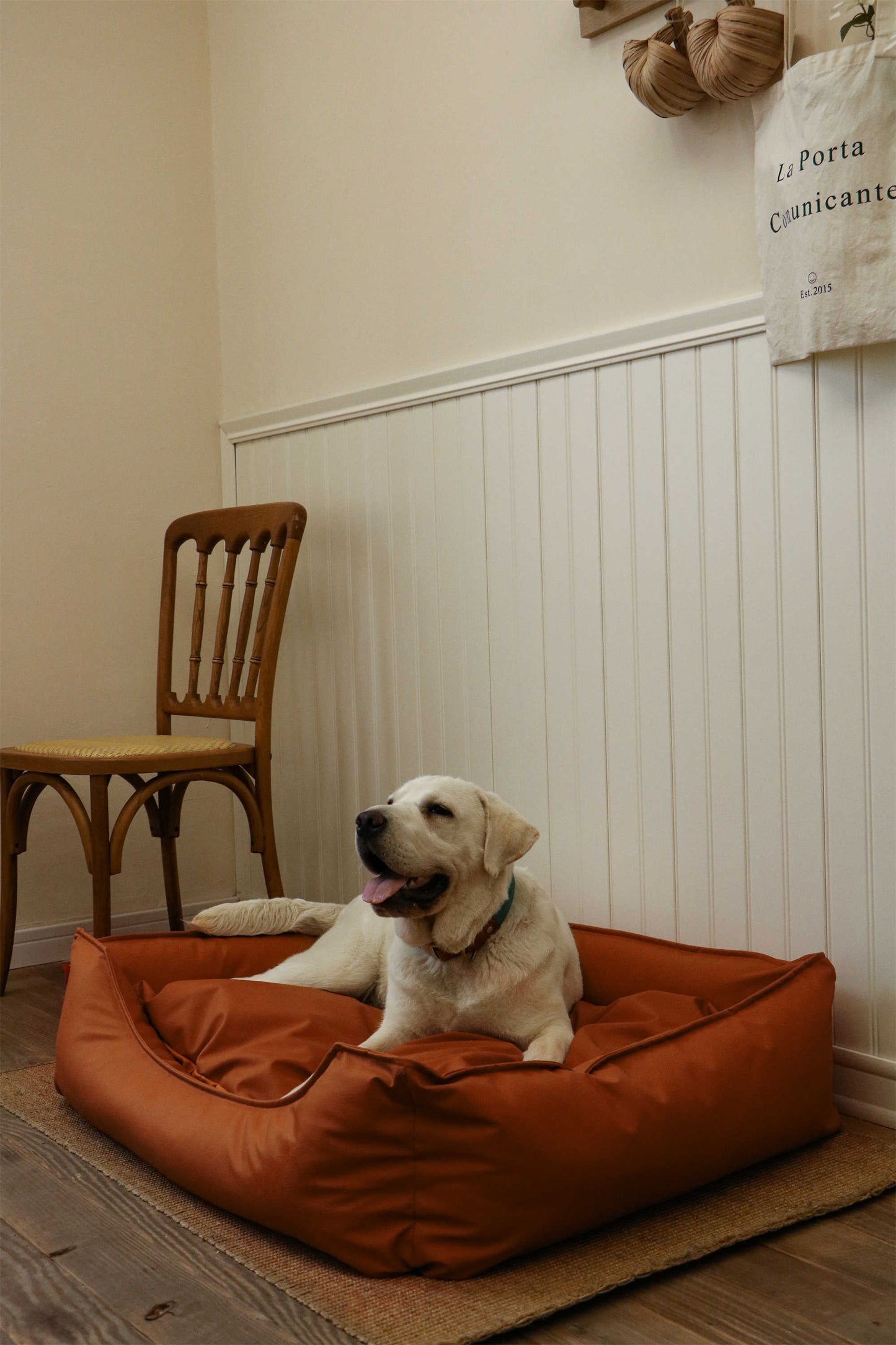 TECH FABRIC FLAT PET BED(ORANGE)