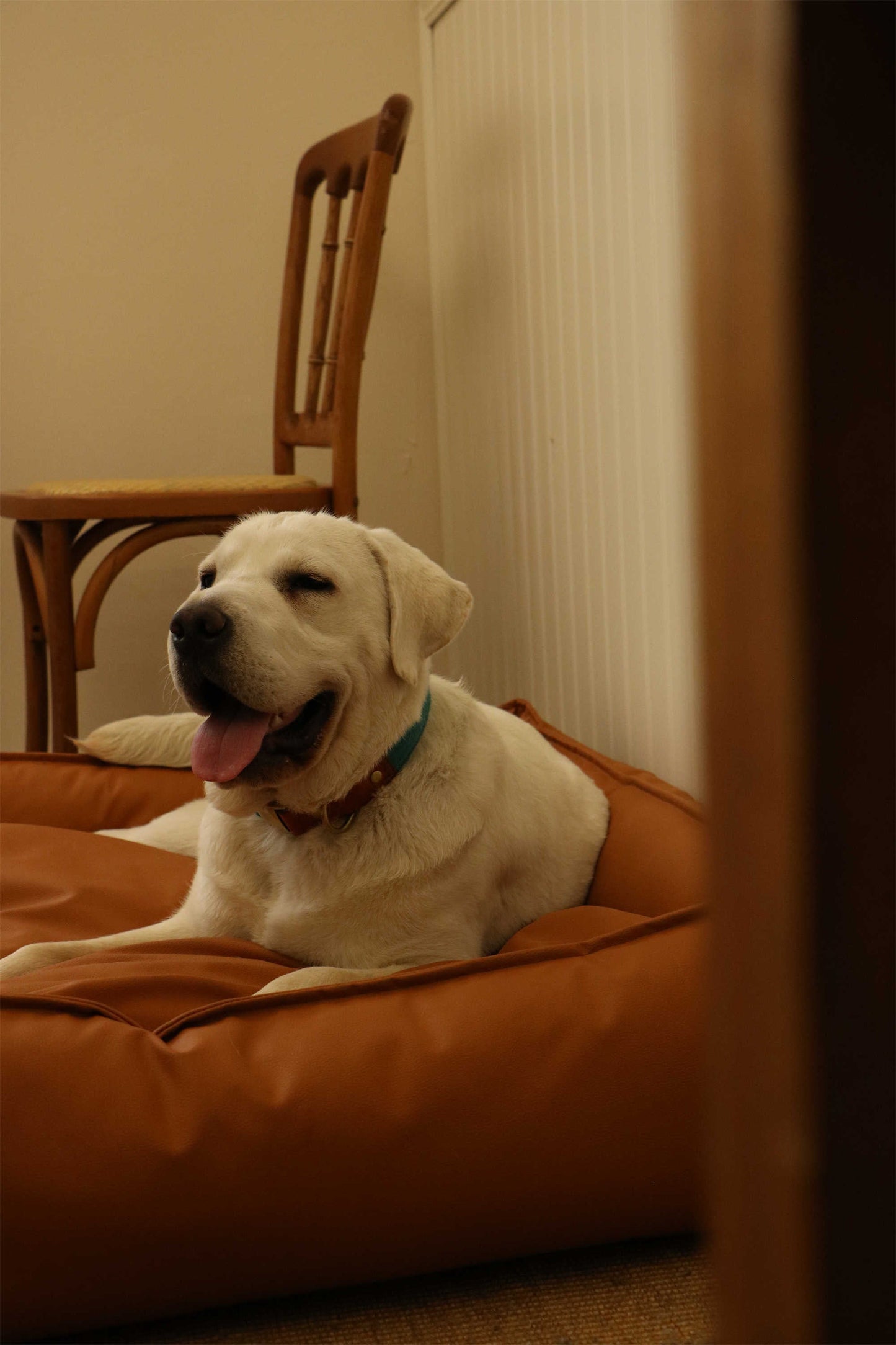 TECH FABRIC FLAT PET BED(ORANGE)