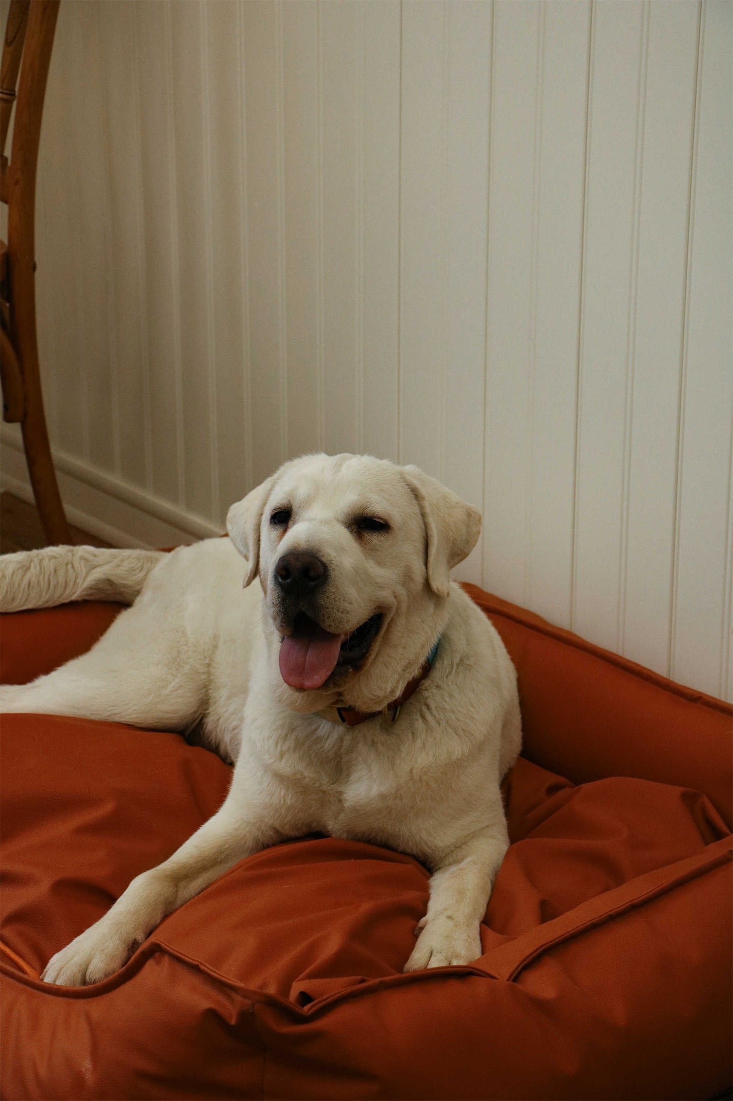 TECH FABRIC FLAT PET BED(ORANGE)