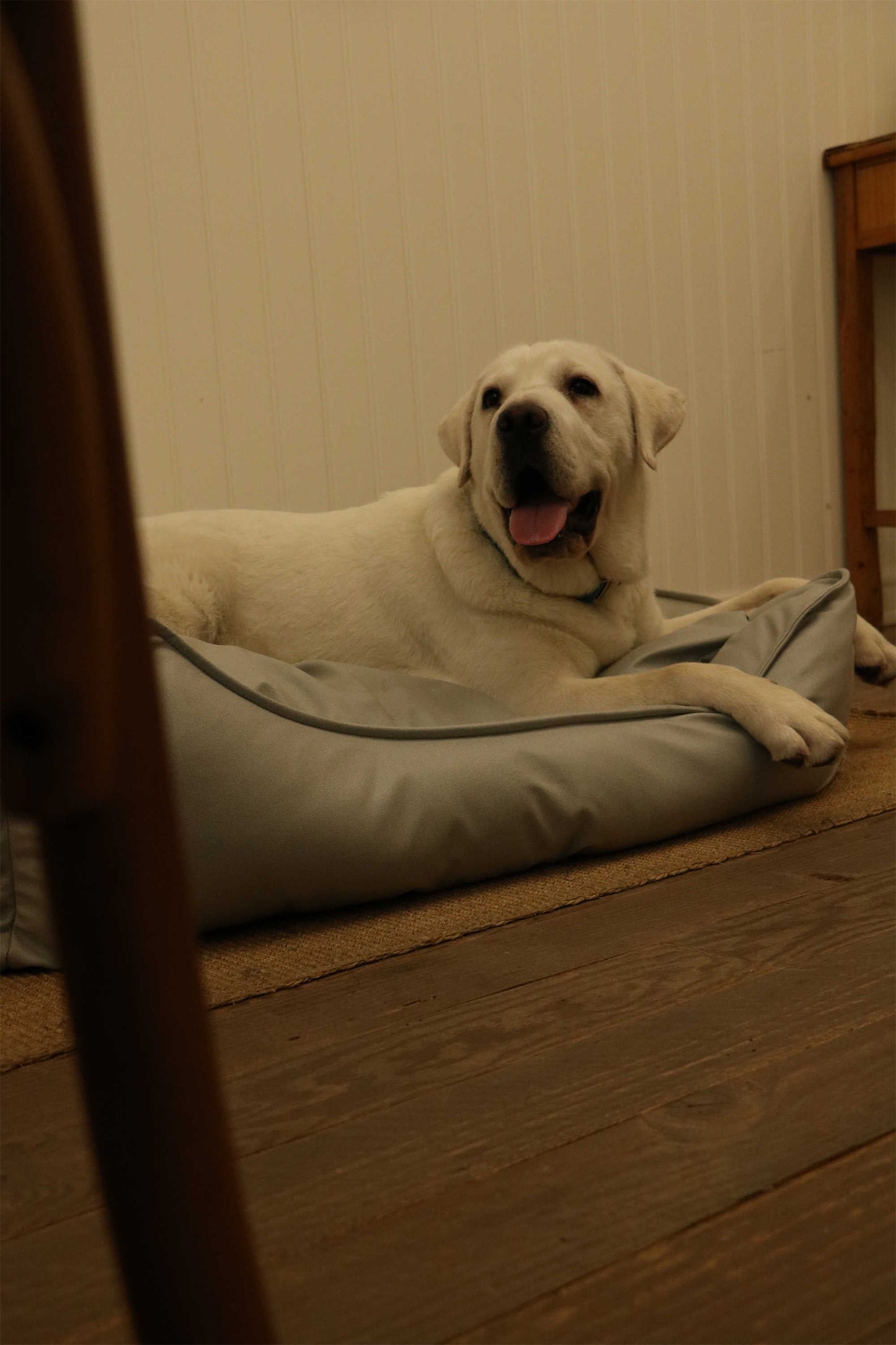 TECH FABRIC FLAT PET BED(LIGHT GRAY)