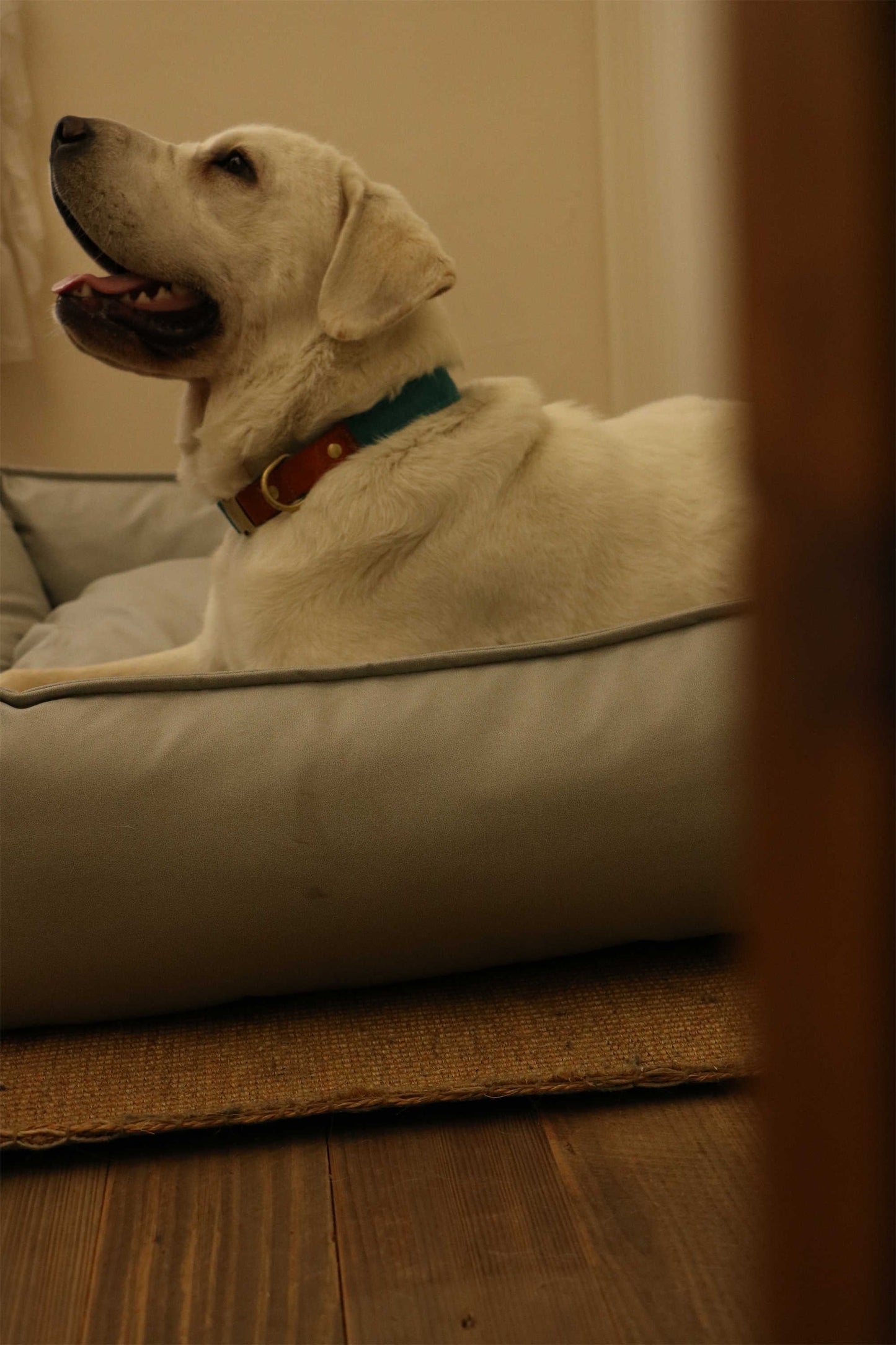 TECH FABRIC FLAT PET BED(LIGHT GRAY)