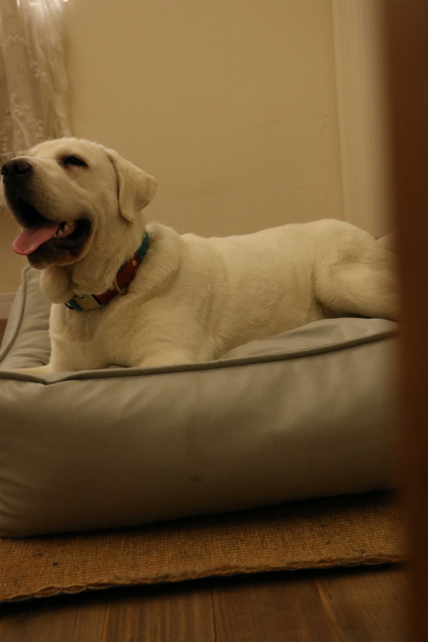 TECH FABRIC FLAT PET BED(LIGHT GRAY)