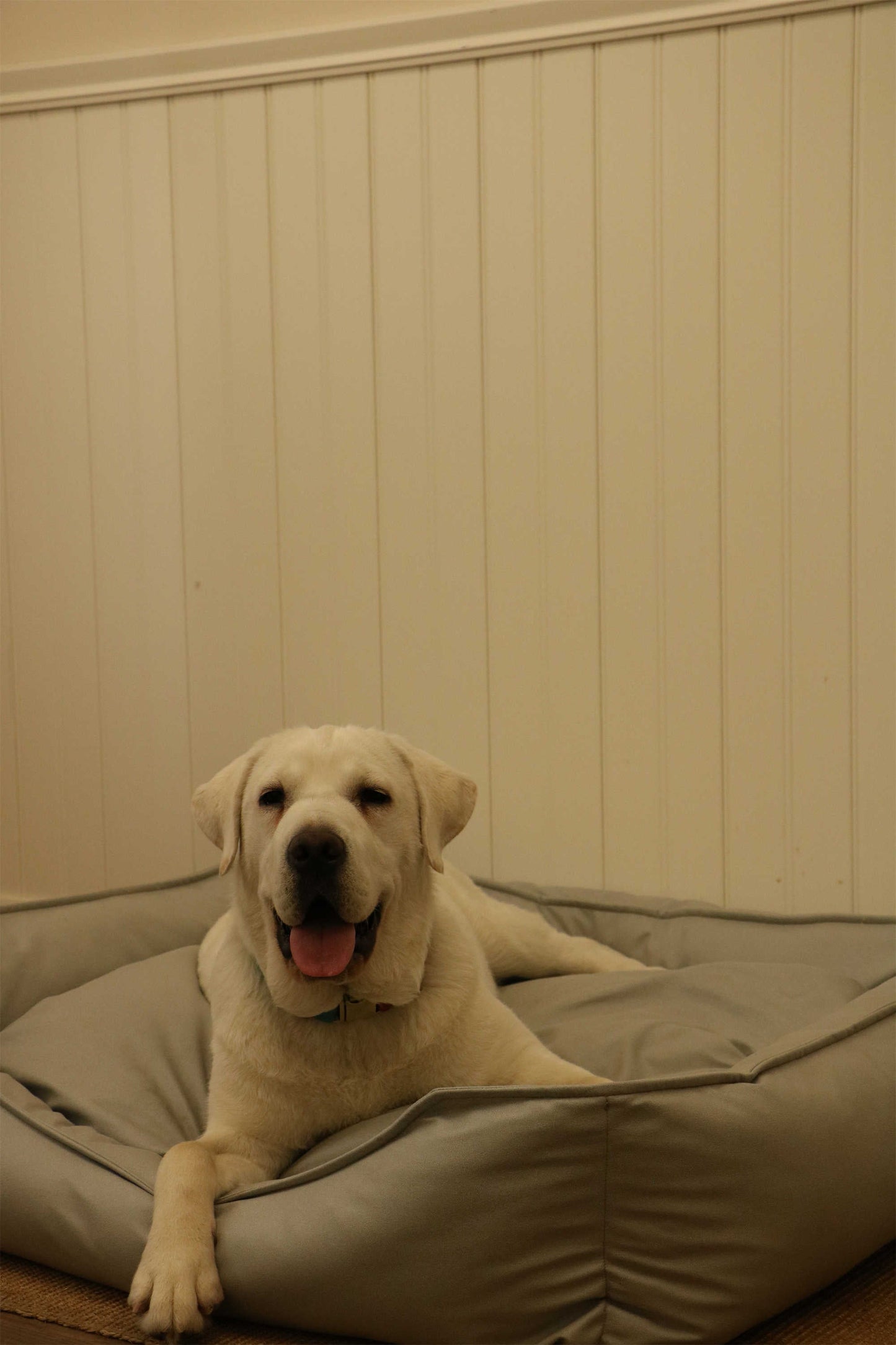 TECH FABRIC FLAT PET BED(LIGHT GRAY)