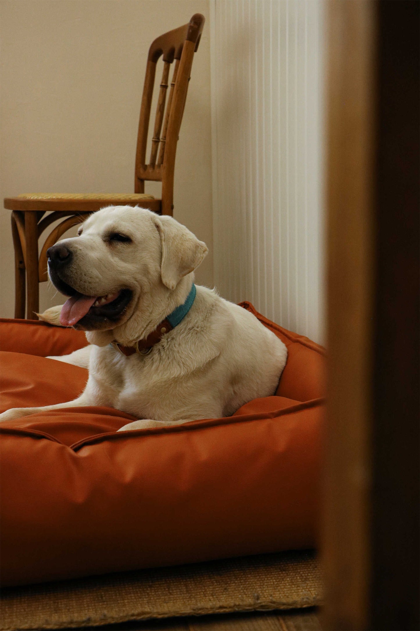 TECH FABRIC FLAT PET BED(ORANGE)