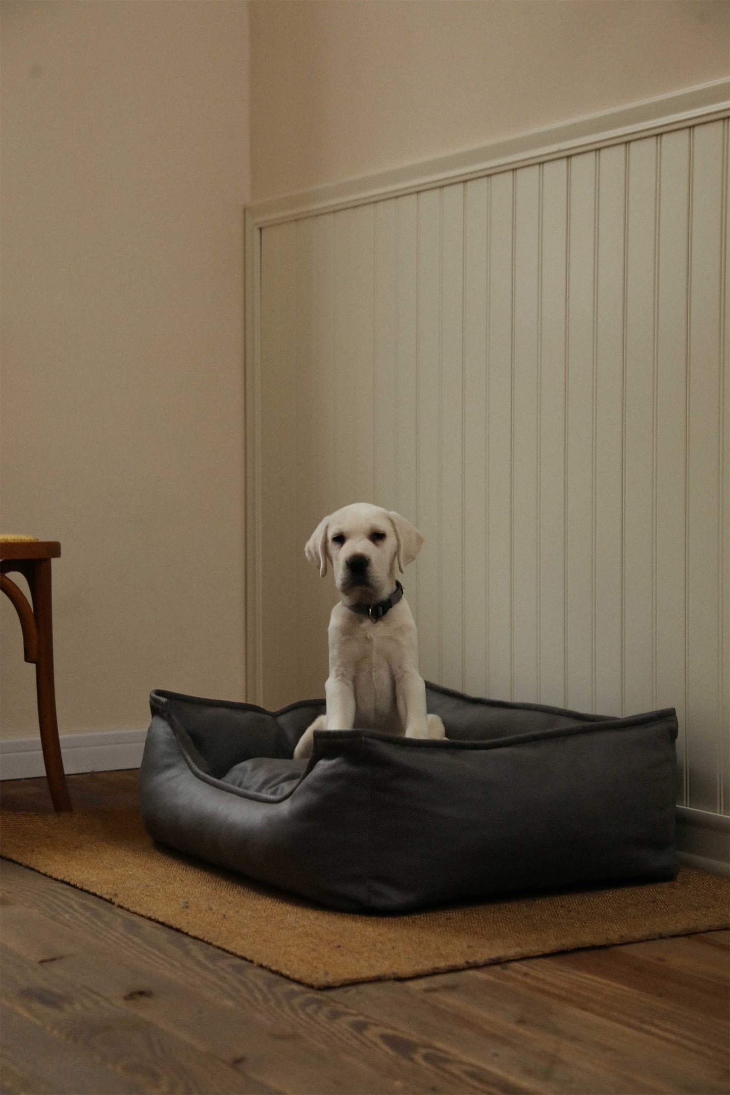 TECH FABRIC FLAT PET BED(DARK GRAY)