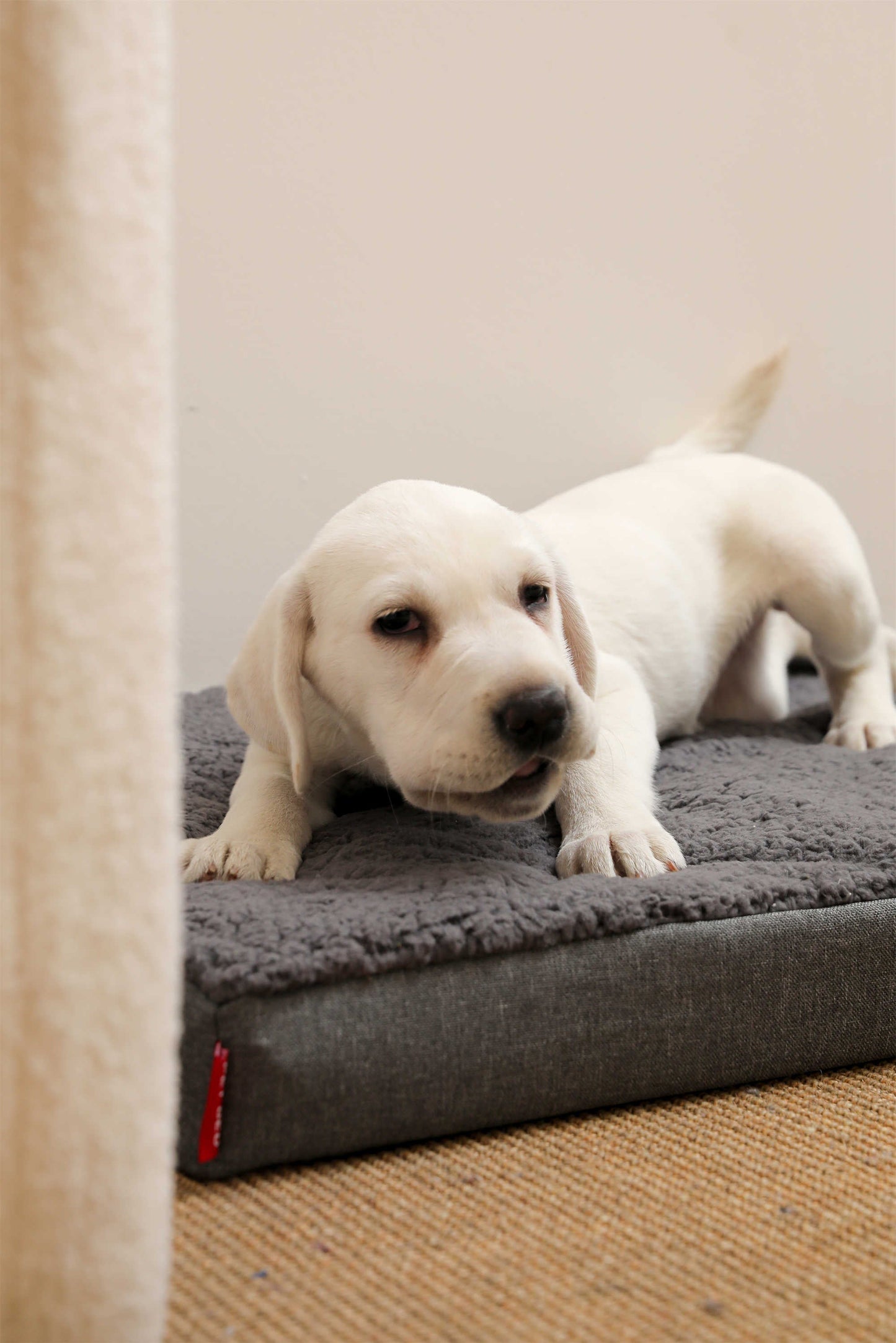 LINEN COTTON FLANNEL FLAT PET BED