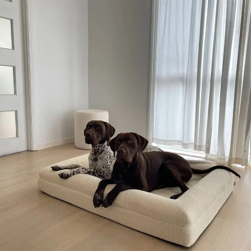 dog bed